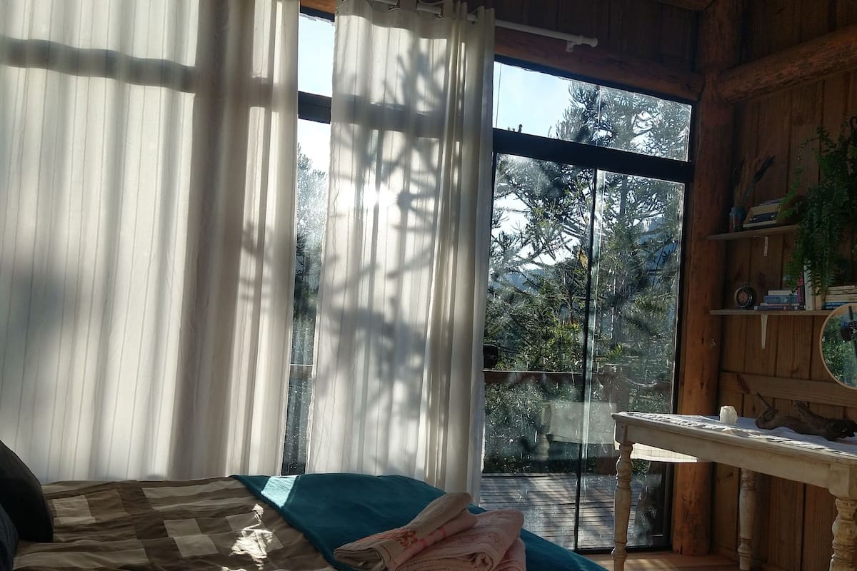 Una habitación acogedora con cama, una mesa y vistas a árboles a través de amplias ventanas.