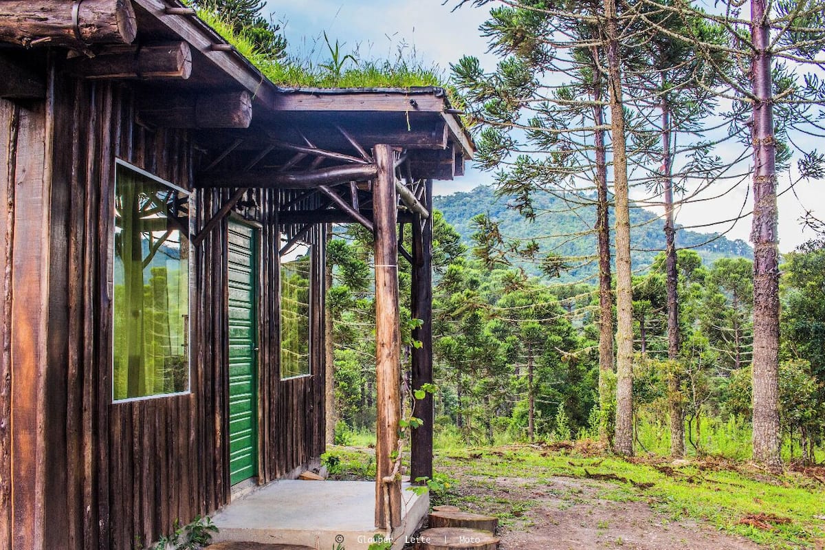 Una cabaña rústica de madera con un porche, rodeada de altos pinos y un paisaje montañoso.