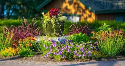 Lakeside cabin on Rust Pond CPA