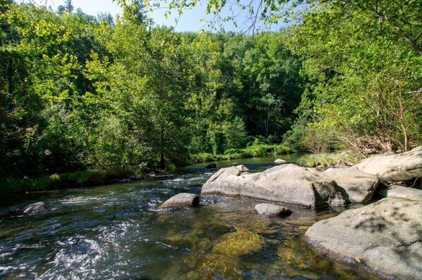 A river flowing through a forest with large rocks in the water. - The Lil House with Balcony (Robbinsville)