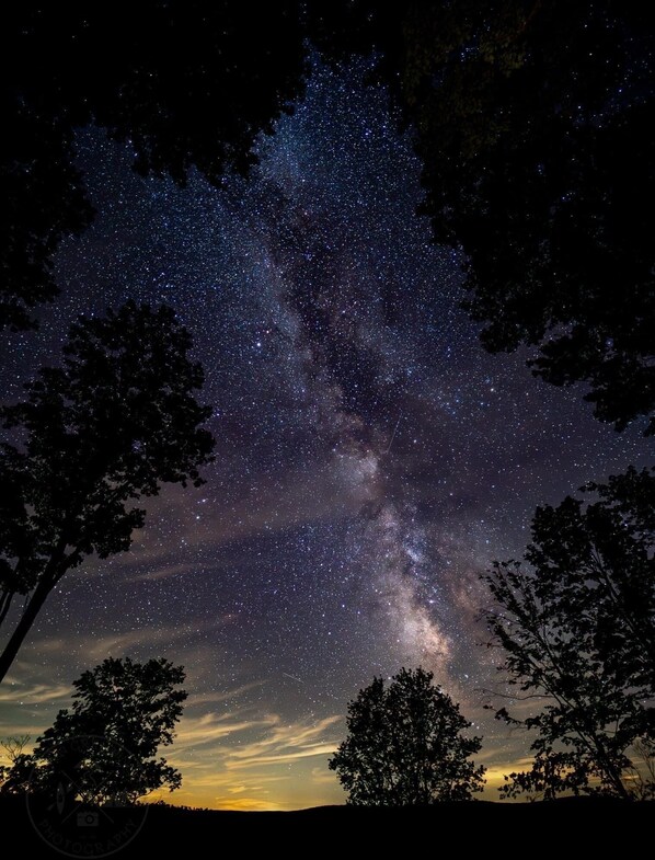 A night sky filled with stars, with a visible Milky Way and silhouetted trees. - The Olde Farmhouse - Historic Property - 10 miles from Cherry Springs State Park (Coudersport)