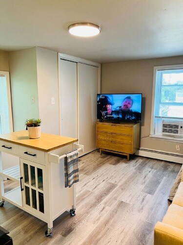 Studio Unit in Kouts/Valparaiso