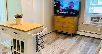 Studio Unit in Kouts/Valparaiso