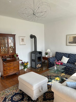 TV connectée, cheminée, lecteur de DVD, livres