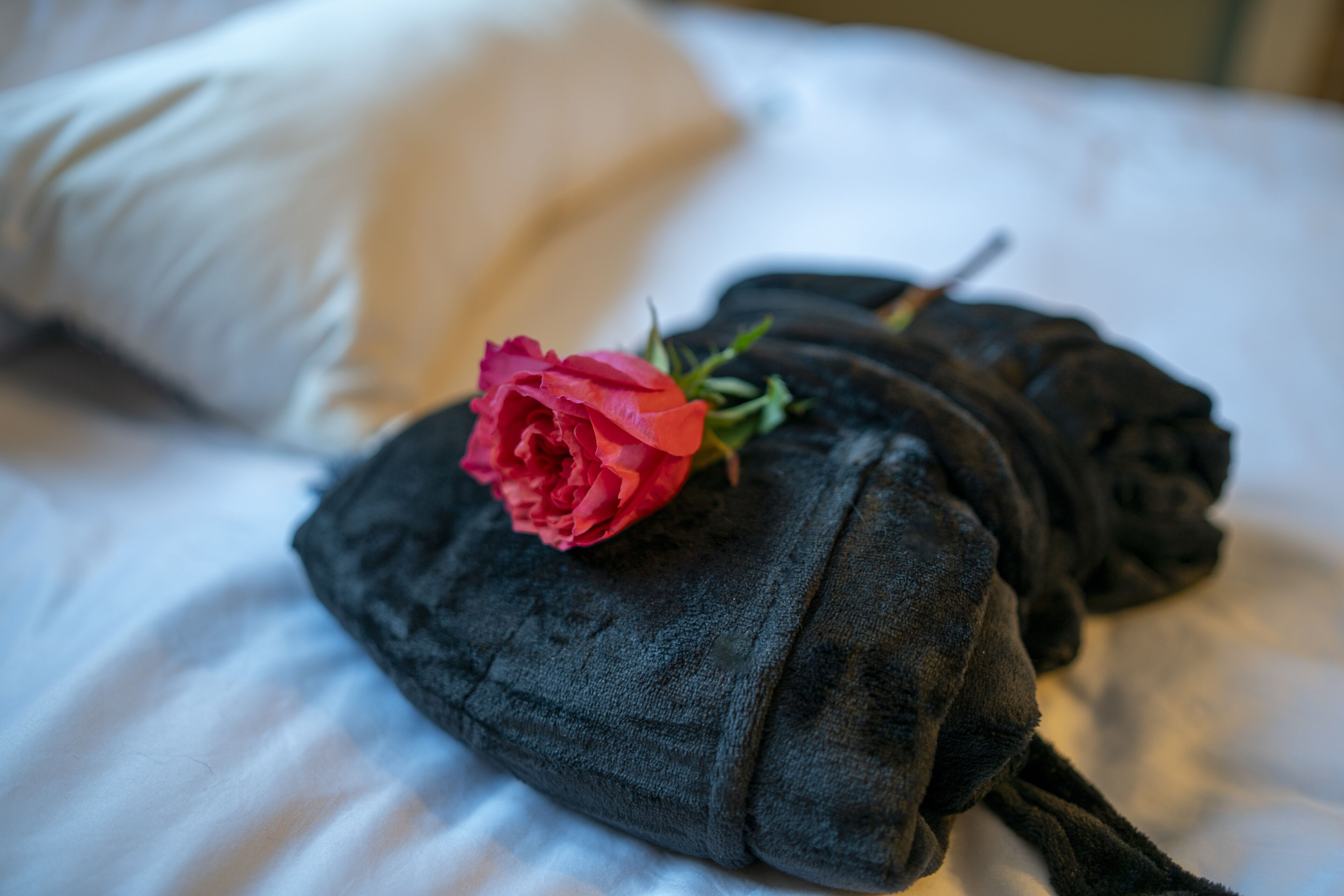 A bed with a black blanket and a red rose.