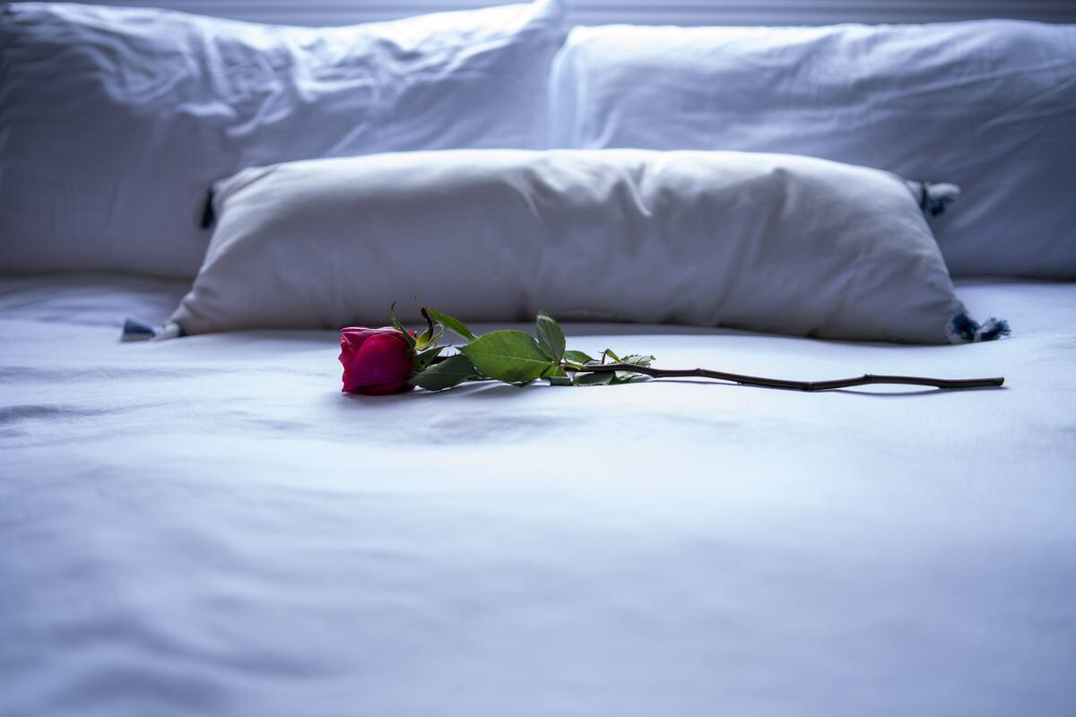 A bed with white linens and a single rose with leaves on it.