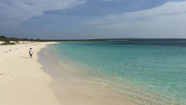 Una playa con agua turquesa cristalina y una persona caminando por la orilla.
