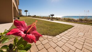 A paved pathway leading to a beach with a red flower in the foreground.
