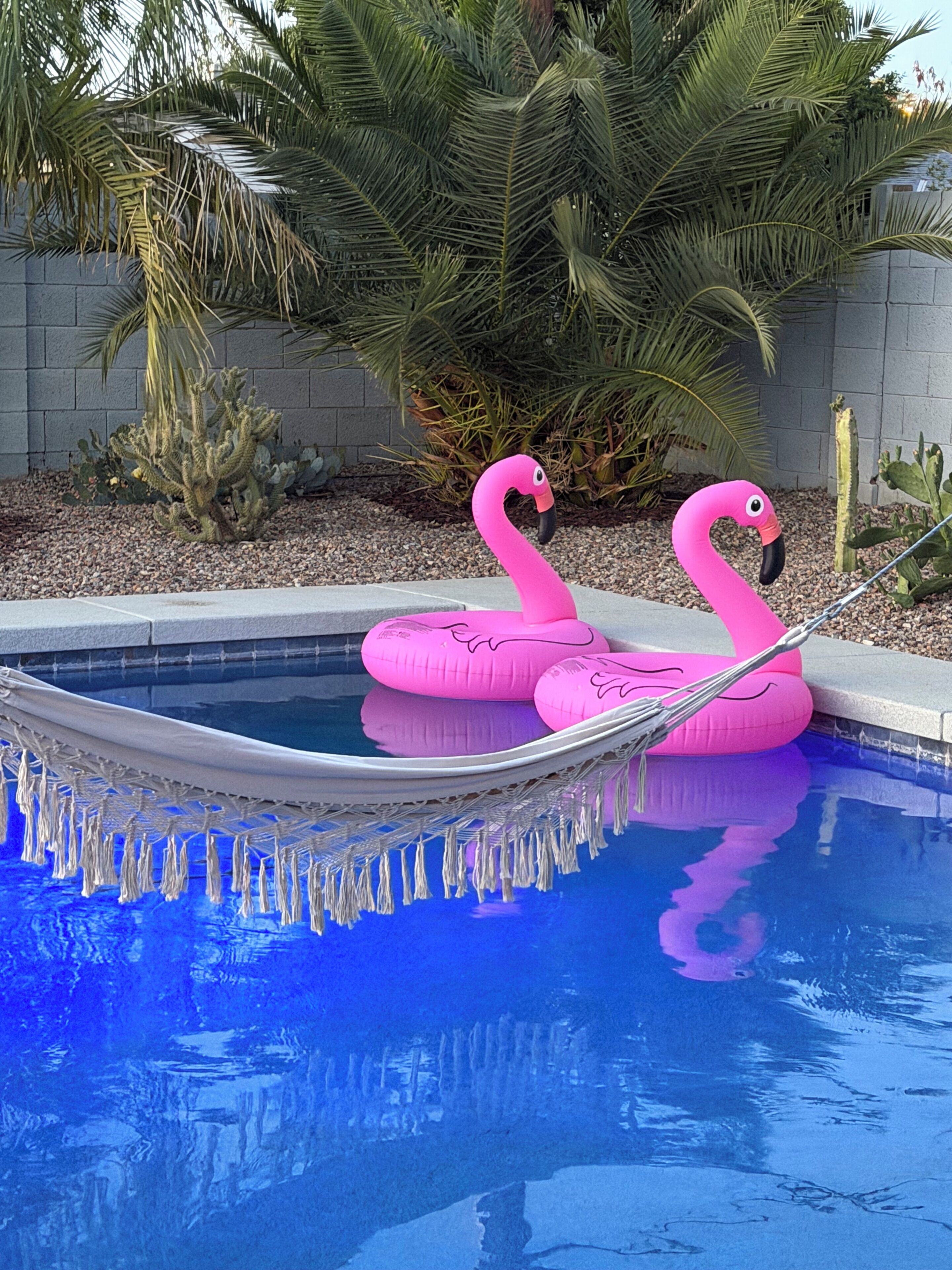 Une piscine avec deux bouées en forme de flamants roses.