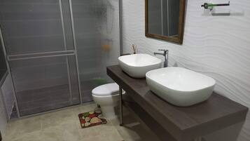 Shower, hair dryer, bidet, towels