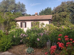 Jardines del alojamiento