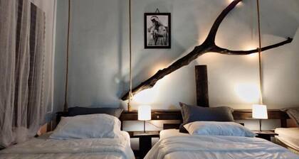 Anas House Bed in 4-Bed Dormitory Room