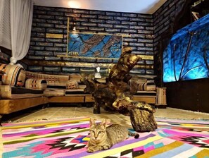 Interior - Anas House Bed in 4-Bed Dormitory Room (Wadi Musa)