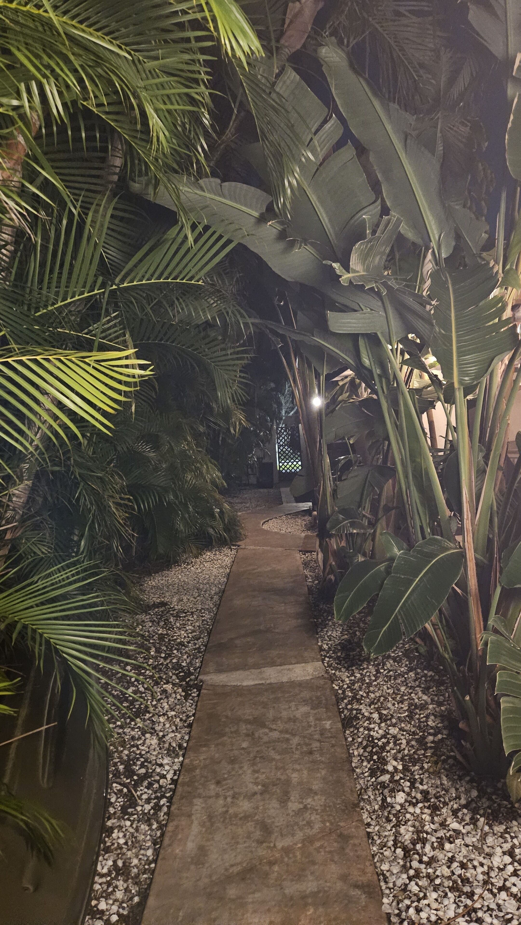 Jardines del alojamiento