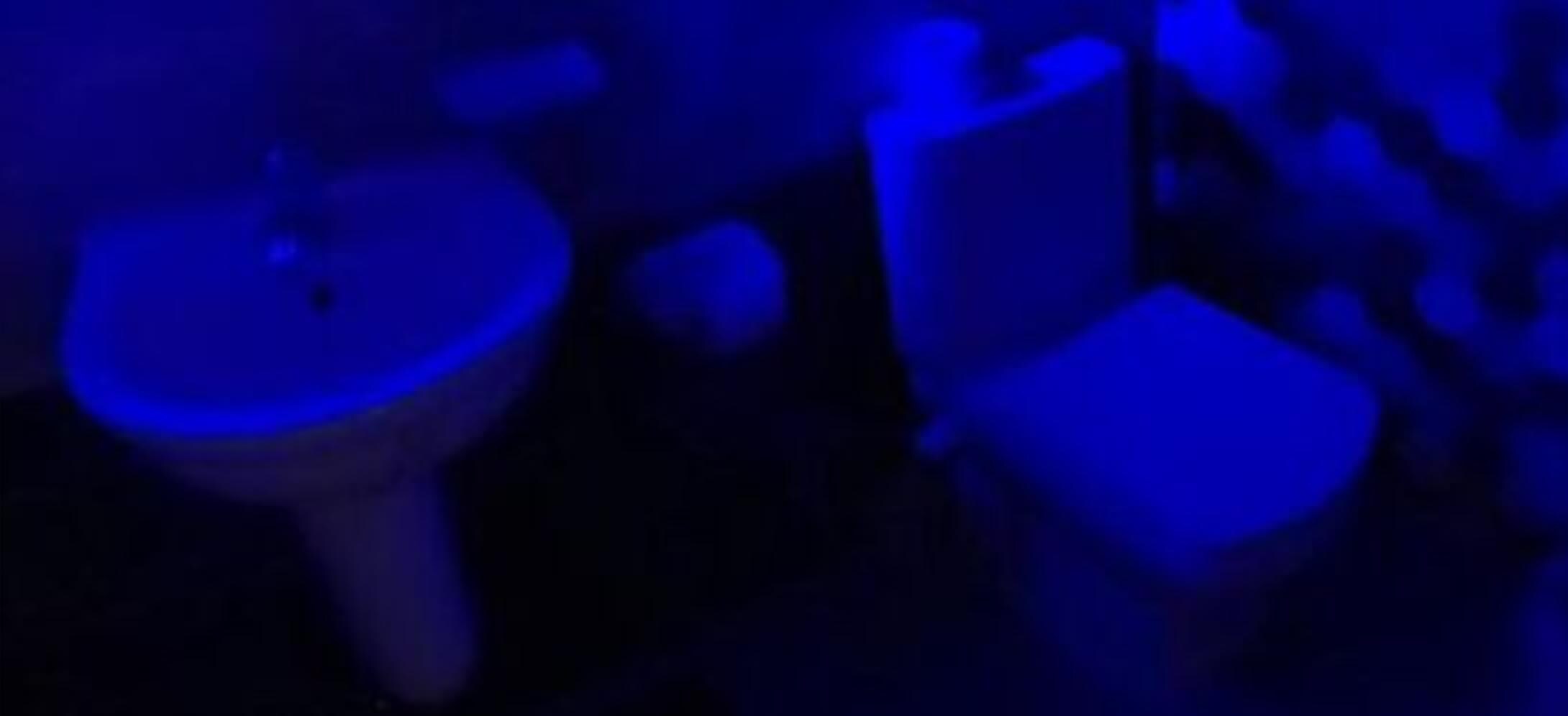 Foto - Cairo pyramids inn