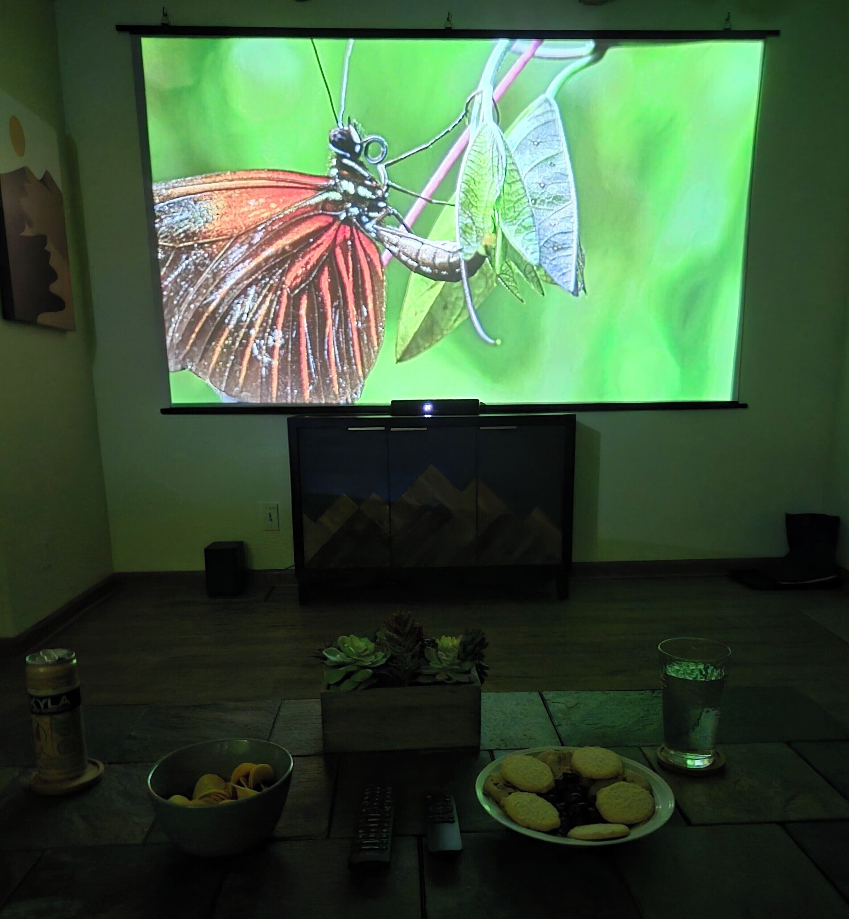 Ein Zimmer mit einem großen Flachbildfernseher an der Wand, einem kleinen Tisch mit einer Schüssel Obst und Keksen sowie einer Topfpflanze.