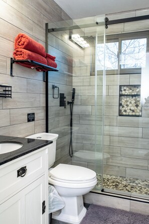 Hair dryer, towels, soap, shampoo - Pet-friendly 2b2b, beautiful views near Boulder (Westminster)