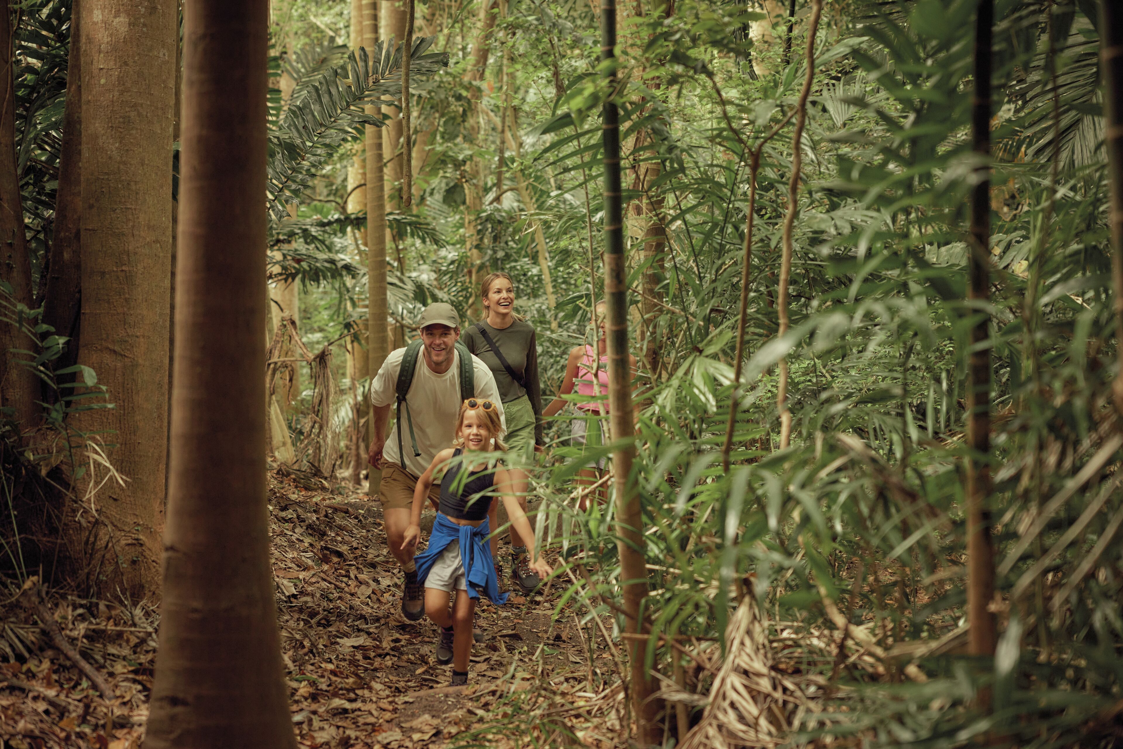 A group of people walking through a forested area with tall trees and dense foliage.