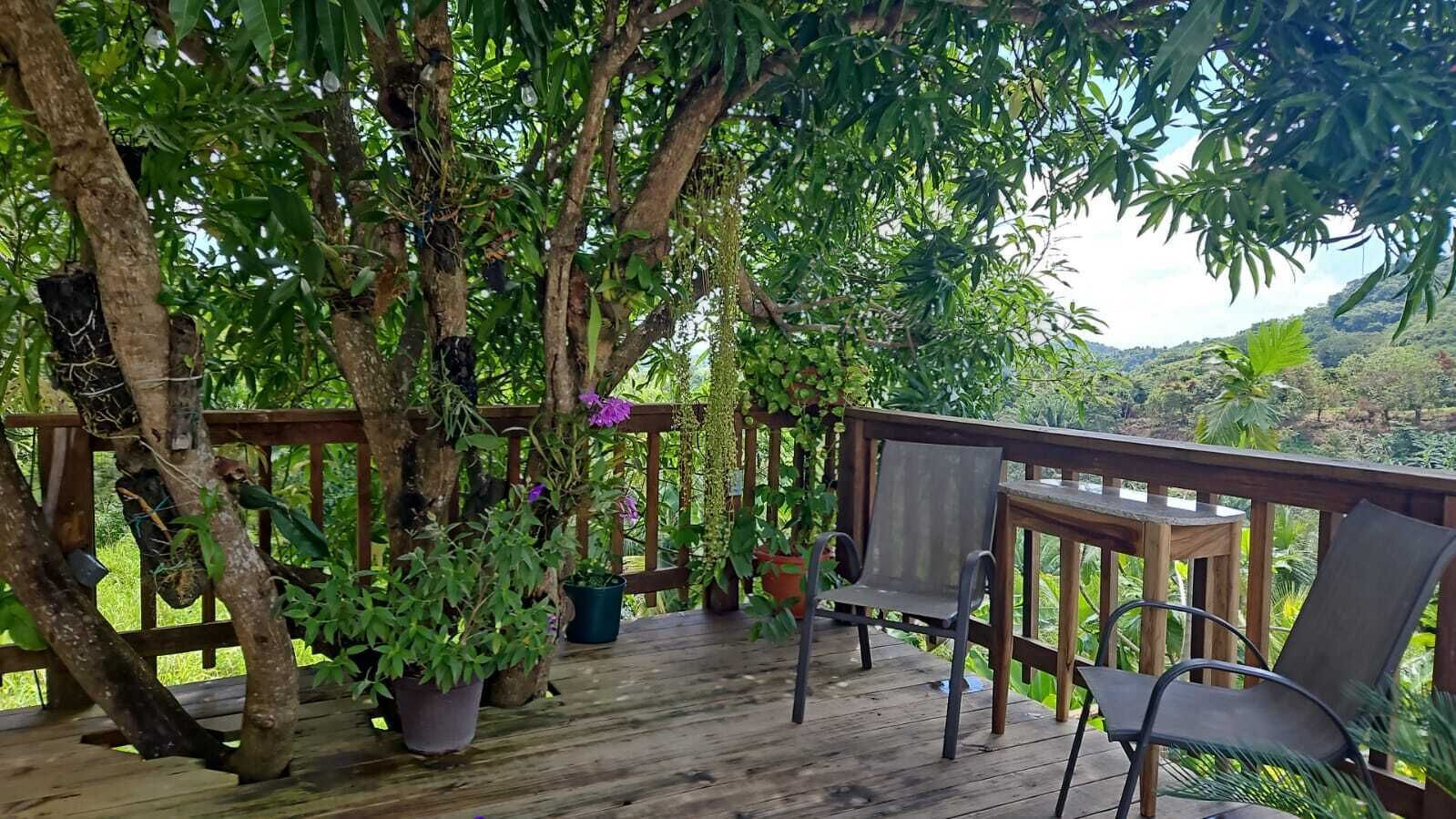 A wooden deck with a table and chairs, surrounded by potted plants and trees.