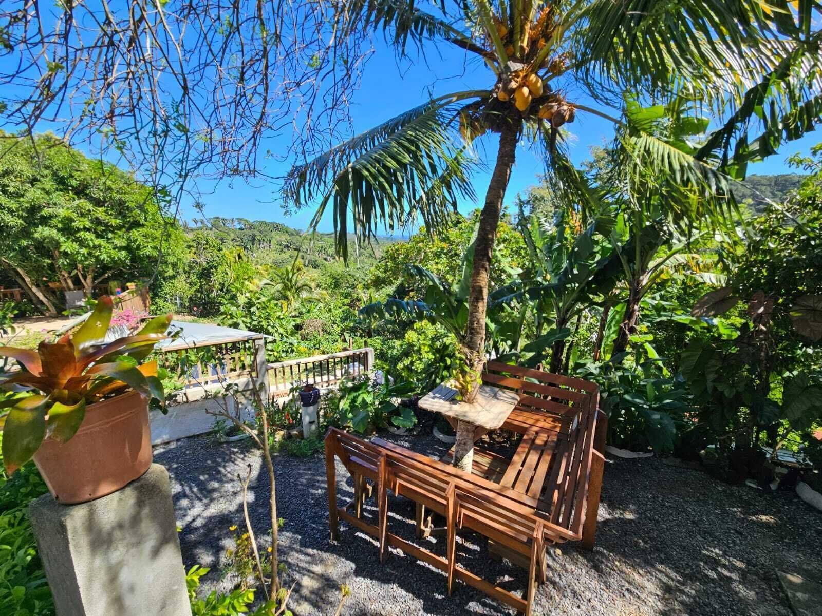 商务开间, 花园景观 | 起居区 | 平板电视