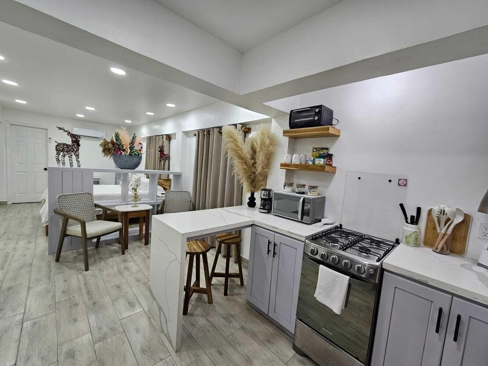 Executive Studio, 1 Bedroom, Sea View | Private kitchen | Full-size fridge, microwave, blender, griddle