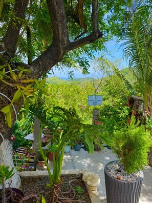 Exterior - Casa Colibri (Roatan)