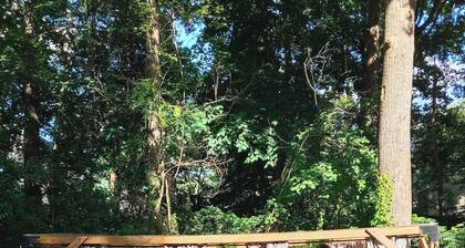Unique Glamping Artsy Home Charlotte Outdoor Theater Firepit 12 min Downtown