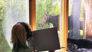 A person using a laptop at a window with a view of a horse in a field.