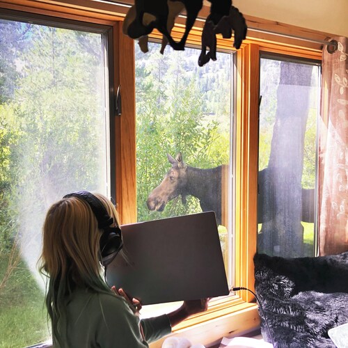 Jackson Hole condo in the Aspens. A retreat close to Nat. Parks & JHMR, King Bed