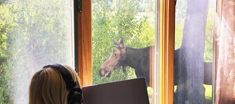 Jackson Hole condo in the Aspens. A retreat close to Nat. Parks & JHMR, King Bed