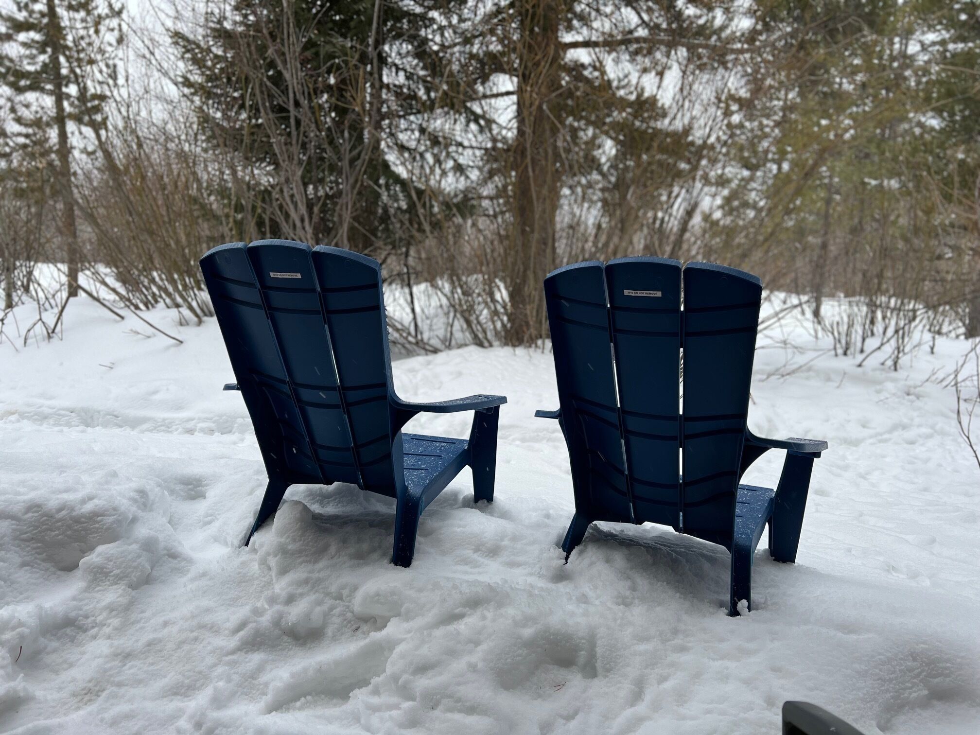 Two blue Adirondack chairs in a snowy outdoor setting.