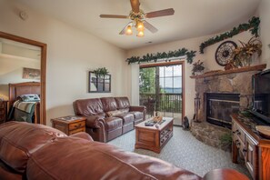 スマートテレビ、暖炉、DVD プレーヤー、ビデオライブラリ