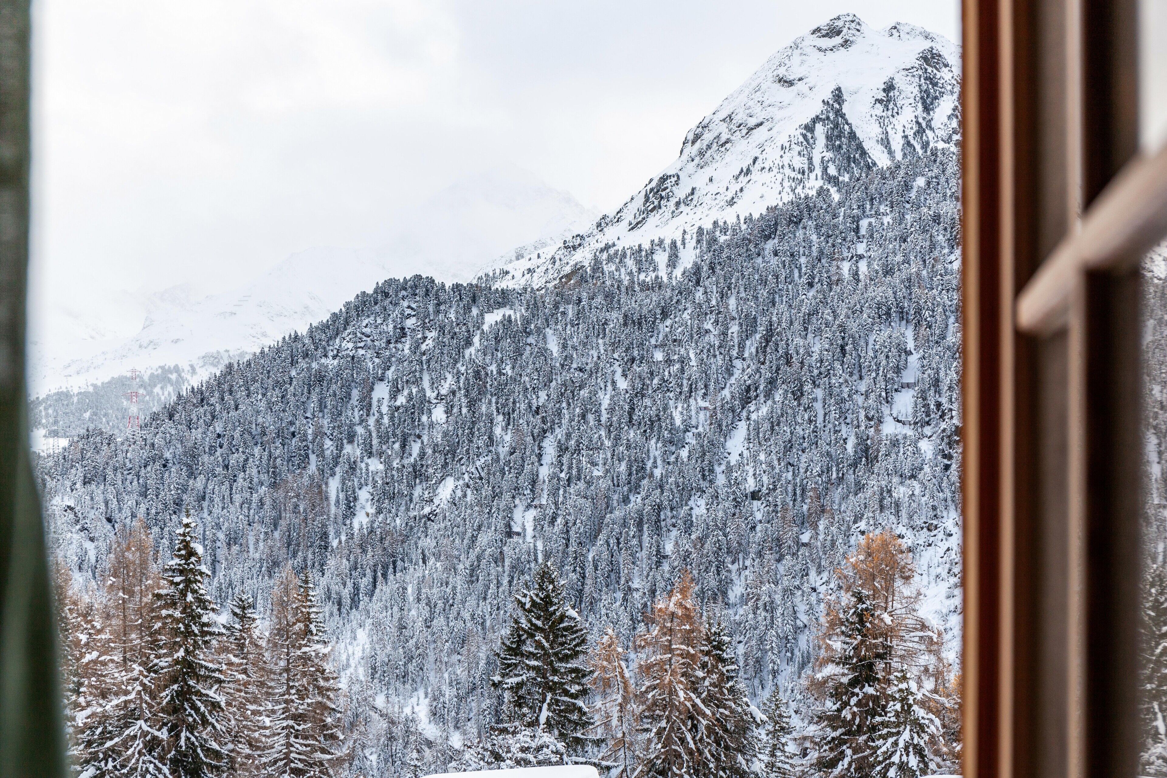 Un paysage montagneux enneigé, avec une zone boisée et un sommet de montagne.
