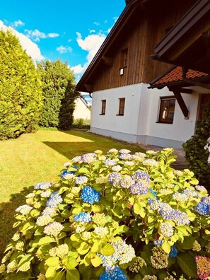 Área da propriedade