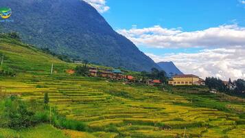 Terraced rice fields, a mountain, and a few buildings.