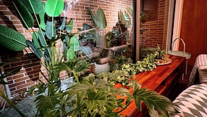 A cozy indoor garden with a variety of plants and a wooden bench. - HHZib - homestay on a peaceful hill (Seoul)