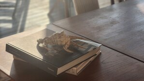 Un livre intitulé « Portraits d’intérieurs » d’Axel Vervoordt, posé sur une table en bois.
