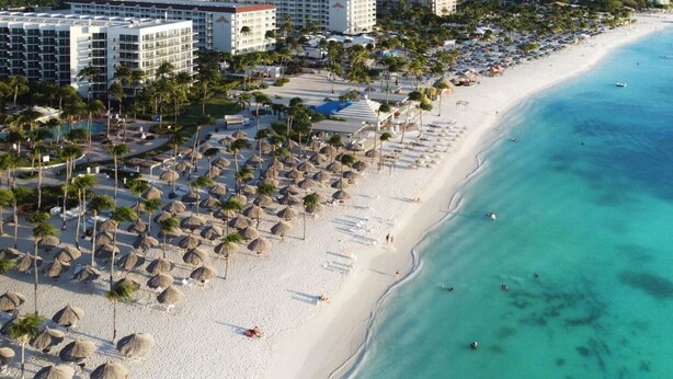 A beach resort with rows of palm trees, beach umbrellas, and a hotel in the background.