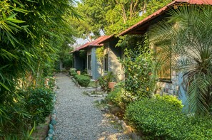 Basic-rum | Utsikt mot trädgården