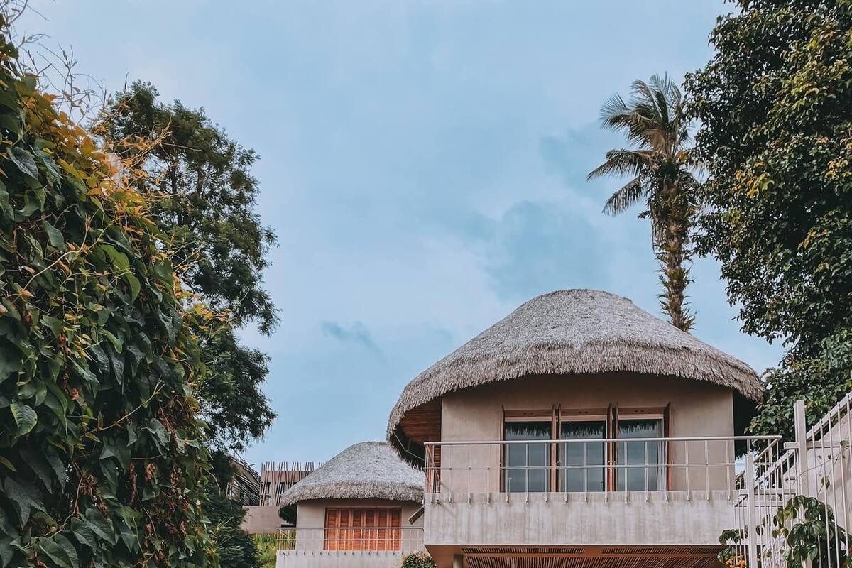 A resort with thatched-roof bungalows, a paved walkway, and lush greenery.