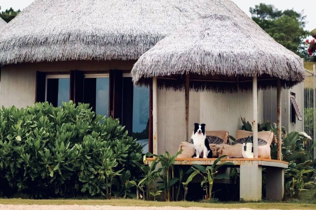 A thatched-roof house with a porch and a dog sitting on it.