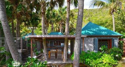Villa PALM HOUSE – A Tranquil Hideaway Steps from the Ocean