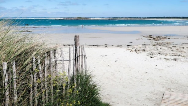 Ein Strand mit Holzzaun und dichter Vegetation im Vordergrund.
