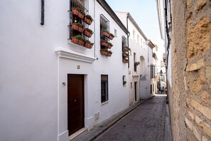 Una estrecha calle empedrada flanqueada por edificios blancos con balcones decorados con plantas en macetas.