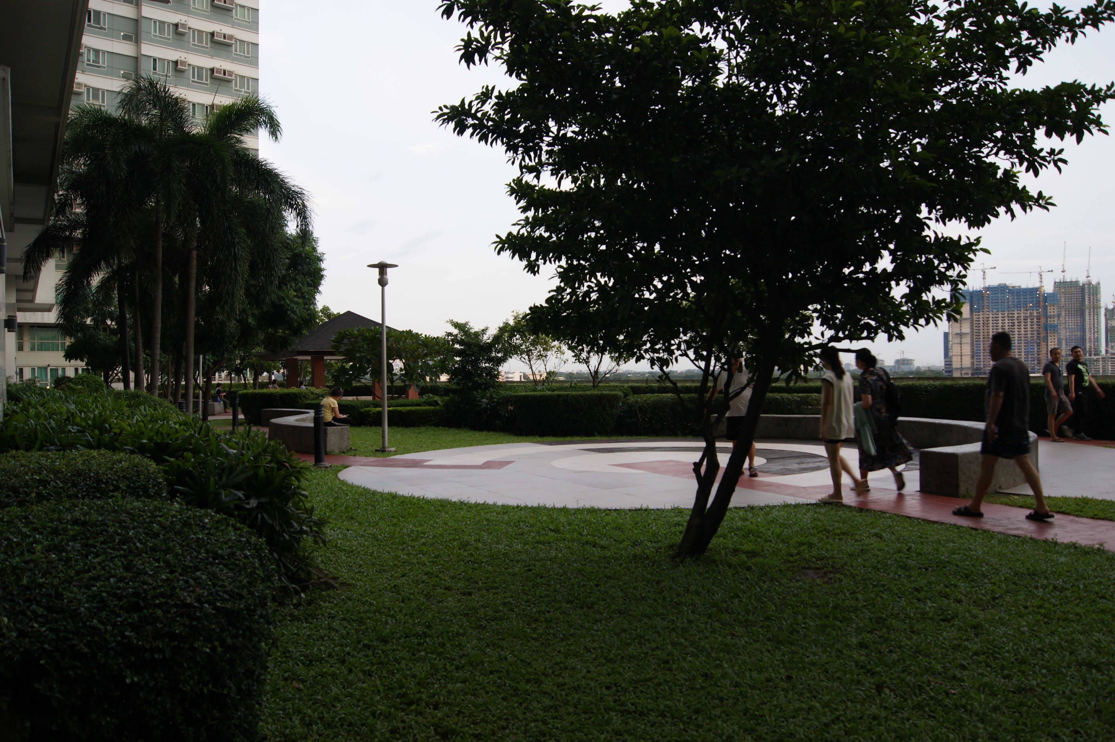 Pemandangan taman