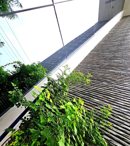 Kriti : Tranquil Modern Oasis