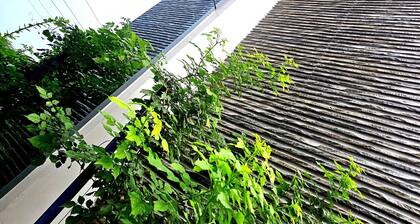 Kriti : Tranquil Modern Oasis