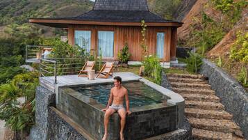 Chambre Panoramique, 1 très grand lit, piscine privée, côté montagne (Master King Mountain Suite)