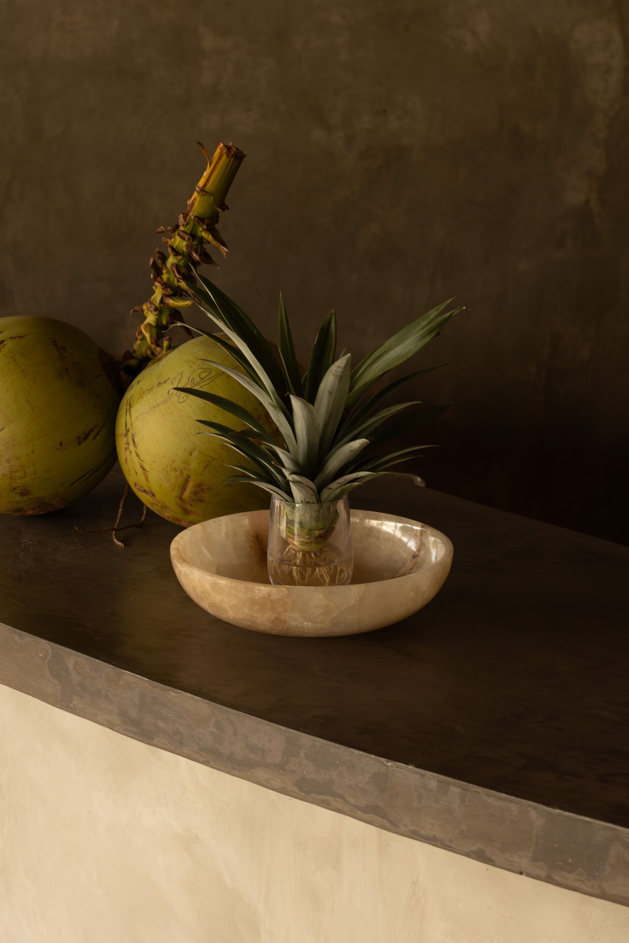 A table with a glass vase containing a plant, two coconuts, and a bowl.