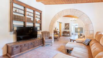 TV, fireplace, table tennis